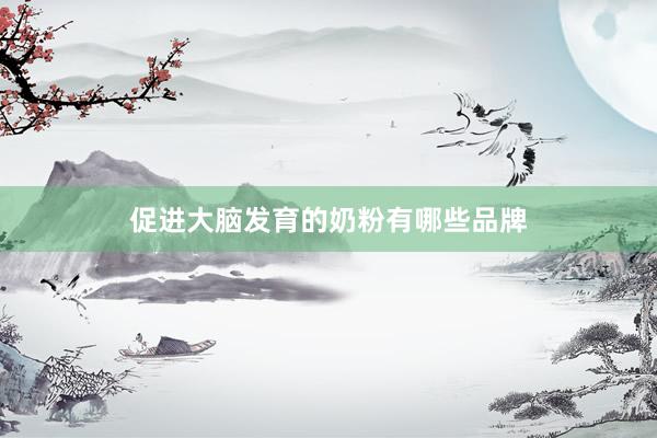 促进大脑发育的奶粉有哪些品牌